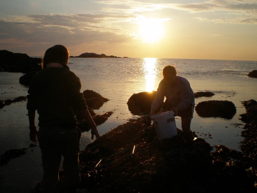 Cooling the Gulf of Maine article